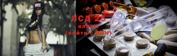 гашик Алексин