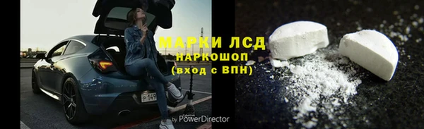 дмт Алзамай
