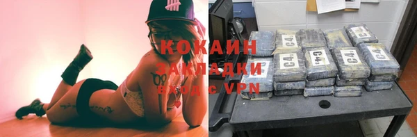 гашик Алексин